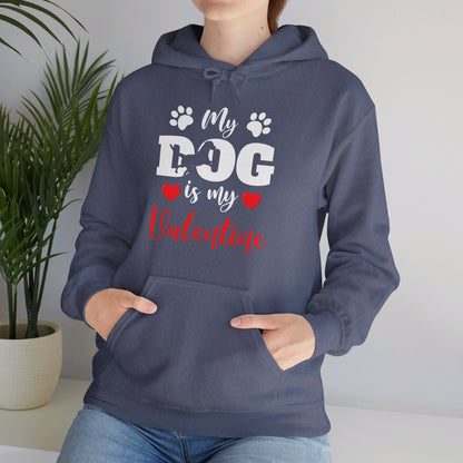 Funny My Dog is My Valentine Dog Lovers Hoodie For Men Women Hoodie